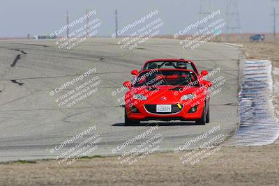 media/Feb-04-2023-Turn8 Trackdays (Sat) [[beeaee2017]]/Intermediate 1/Session 3 (Outside Grapevine)/